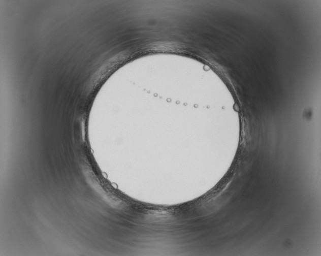 X0000115240061200912111103