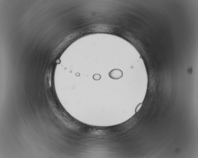 X0000115240062200912111103