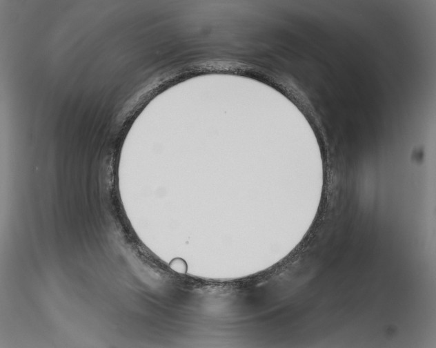 X0000115240063200912111103