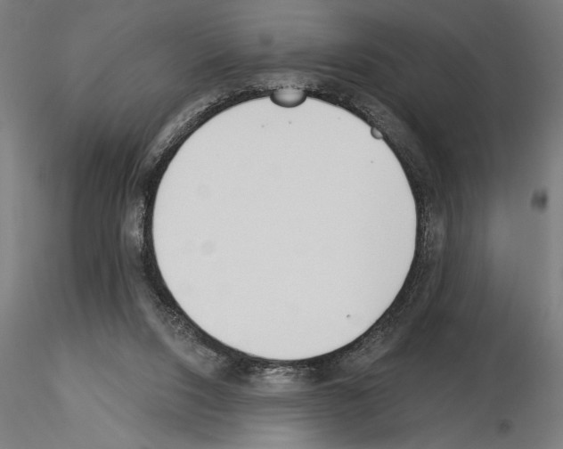 X0000115240064200912111103