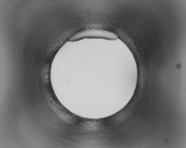 X0000115240065200912111103