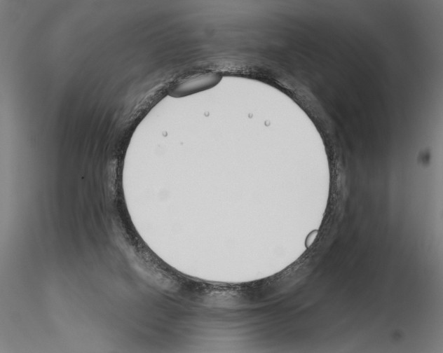 X0000115240066200912111103