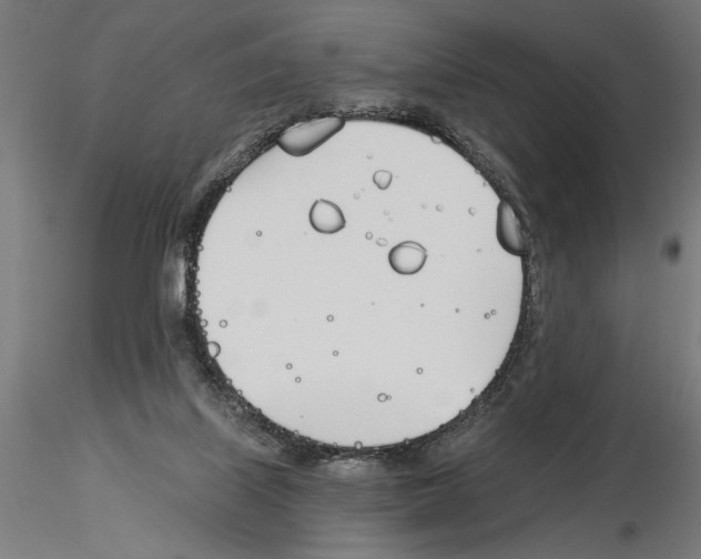 X0000115240067200912111103