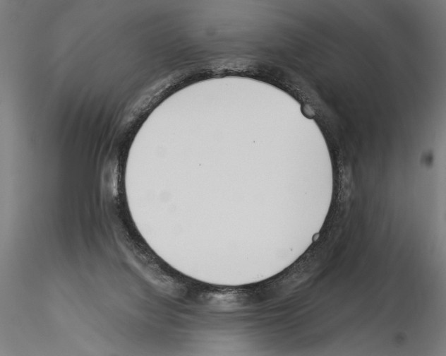 X0000115240068200912111103