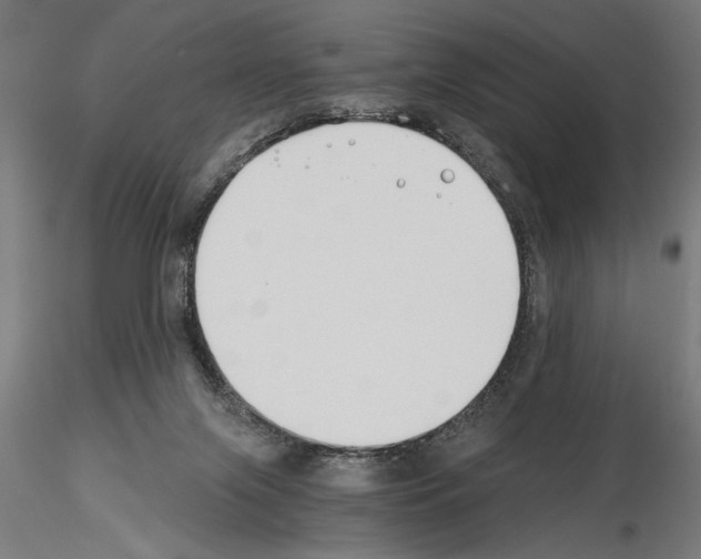 X0000115240071200912111104