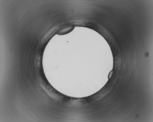 X0000115240072200912111104