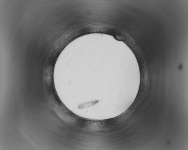 X0000115240074200912111104