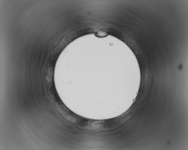 X0000115240078200912111104