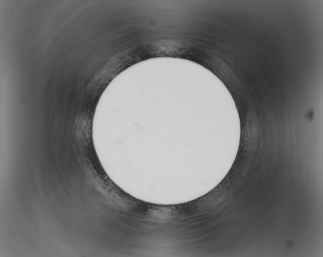 X0000115240079200912111104