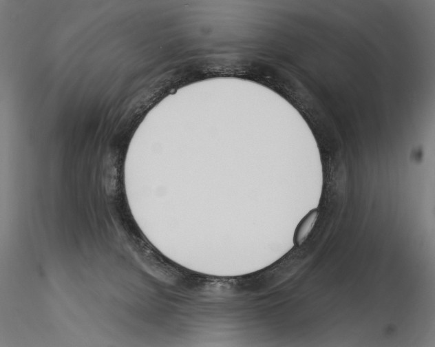 X0000115240080200912111104