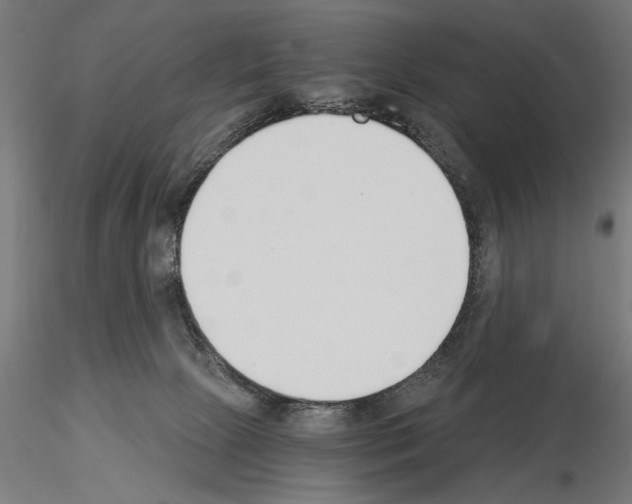 X0000115240081200912111104