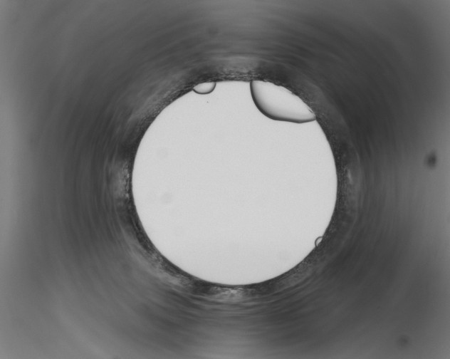 X0000115240083200912111104