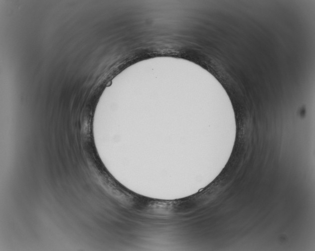 X0000115240084200912111104