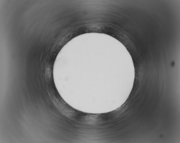 X0000115240086200912111104