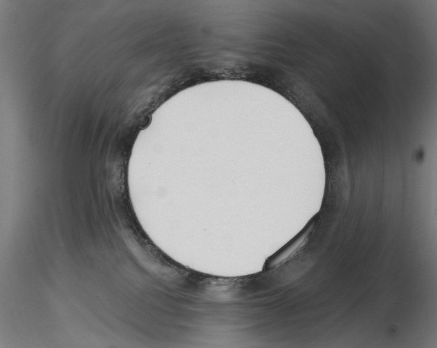 X0000115240088200912111104