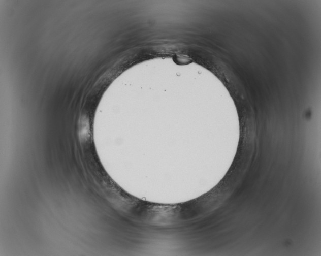 X0000115240089200912111104