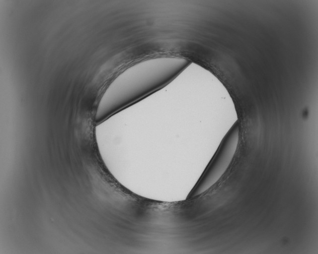 X0000115240092200912111104