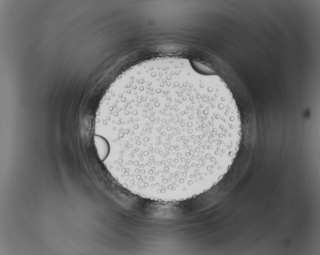 X0000115240093200912111104