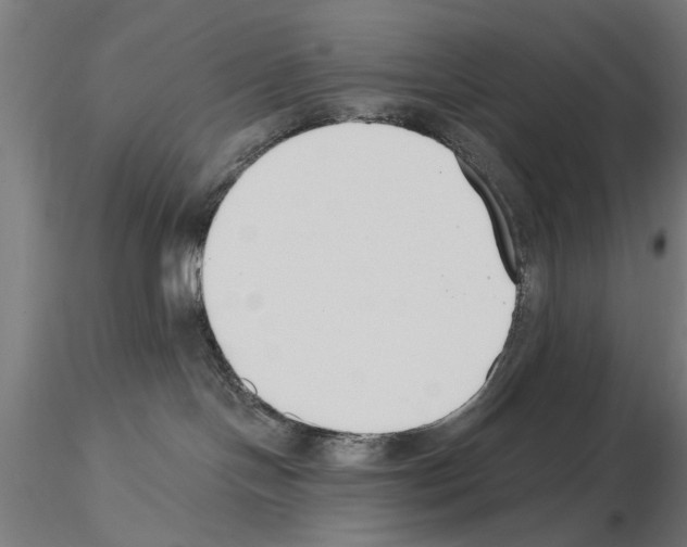 X0000115240094200912111104