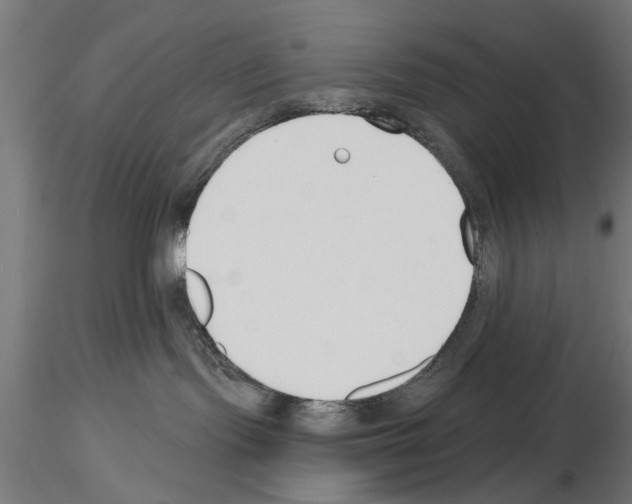 X0000115240095200912111104