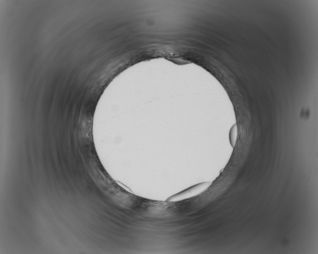 X0000115240096200912111104