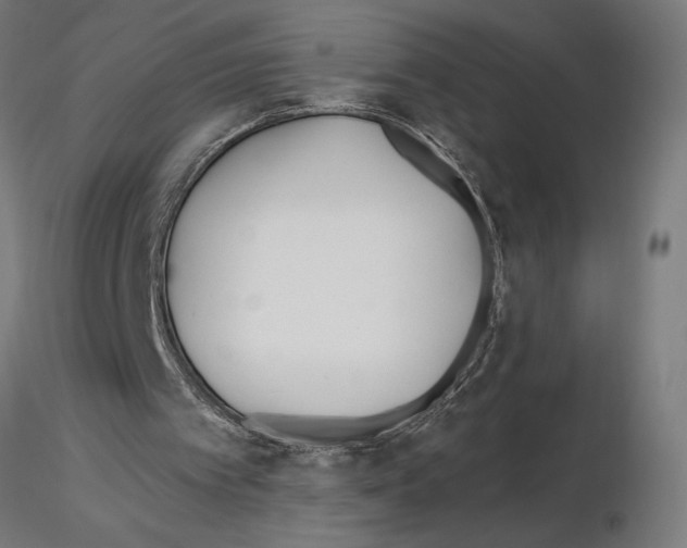 X0000115240097200912111103