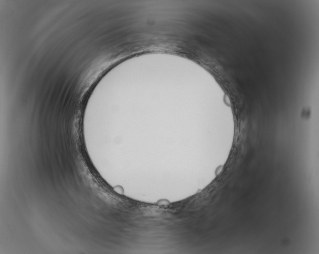 X0000115240098200912111103