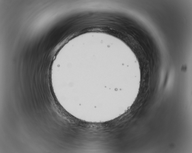 X0000115240099200912111103