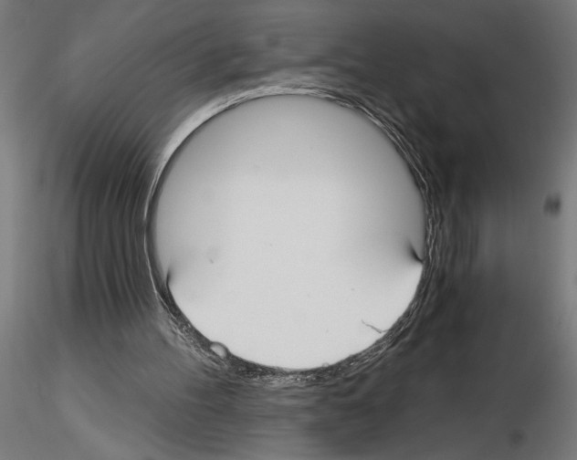 X0000115240100200912111103