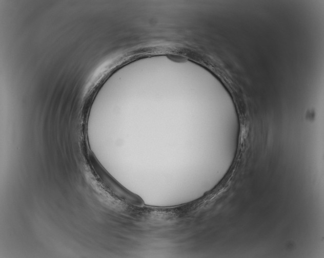 X0000115240101200912111103