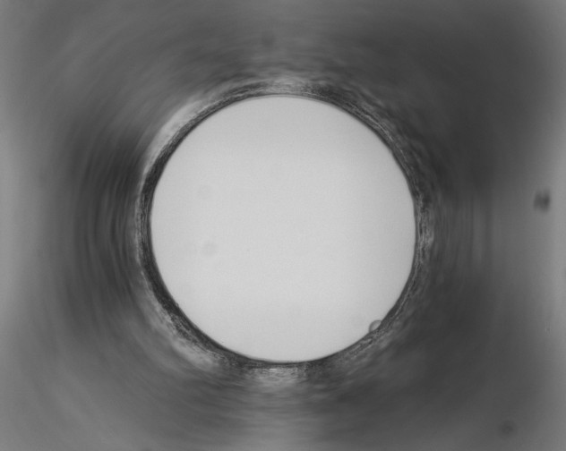 X0000115240102200912111103