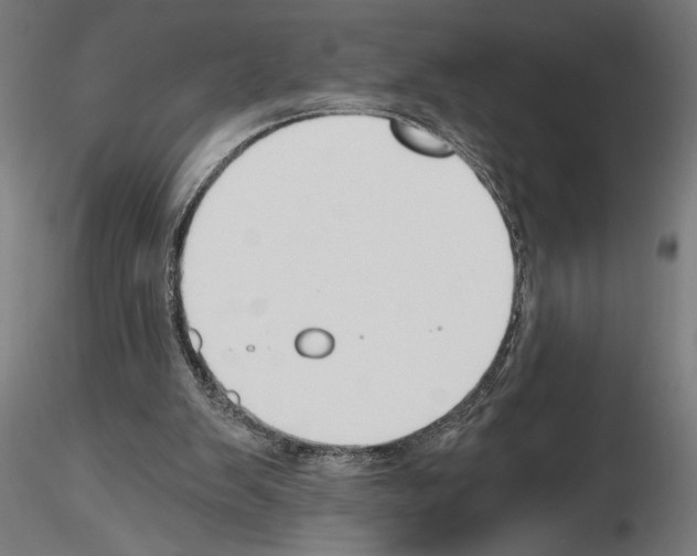 X0000115240103200912111103