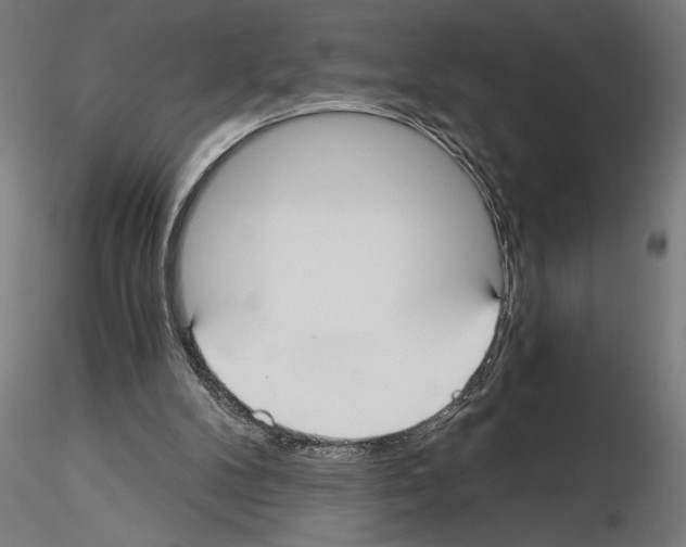 X0000115240104200912111103