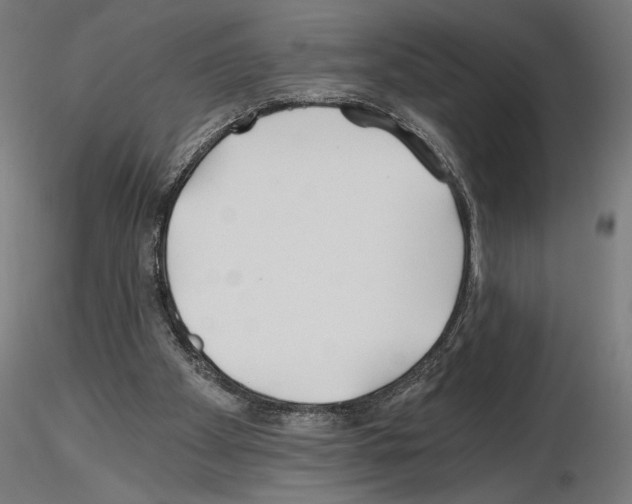 X0000115240105200912111103