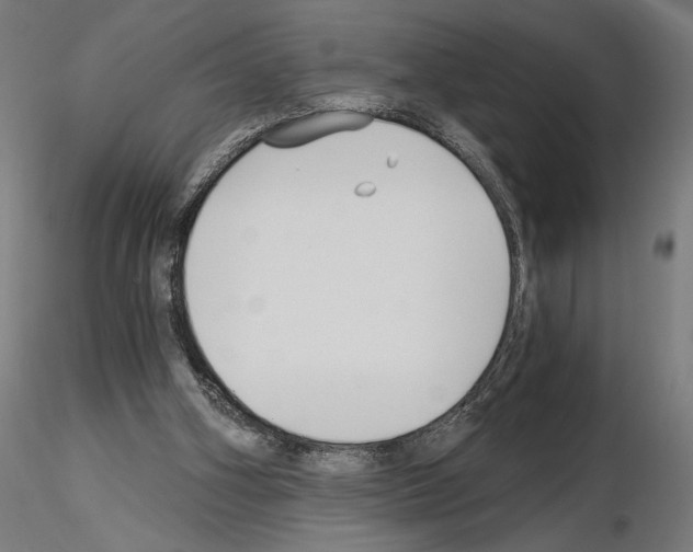 X0000115240106200912111103