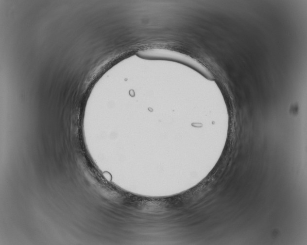 X0000115240107200912111103