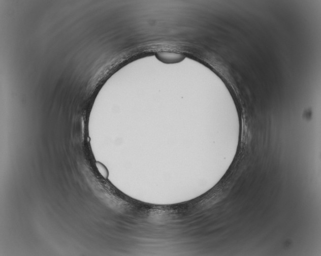 X0000115240109200912111103