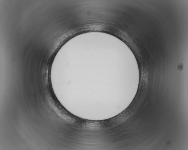 X0000115240110200912111103