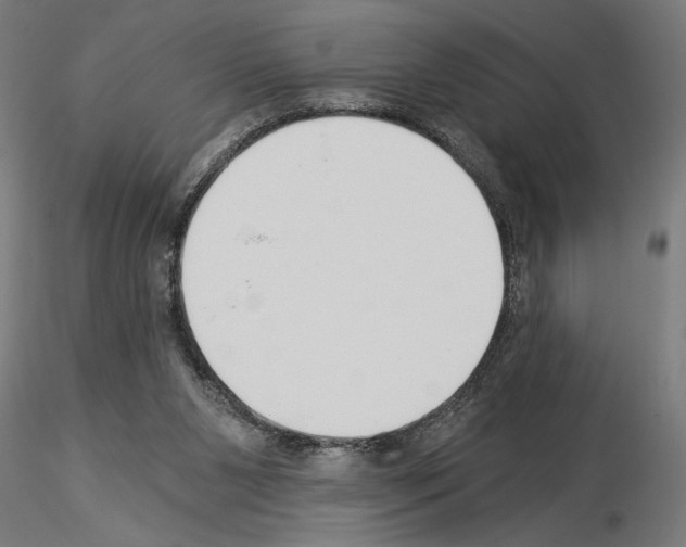 X0000115240111200912111103