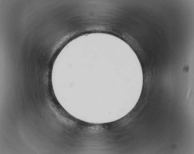 X0000115240112200912111103