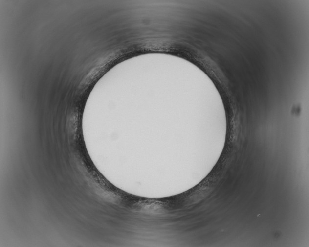 X0000115240113200912111103