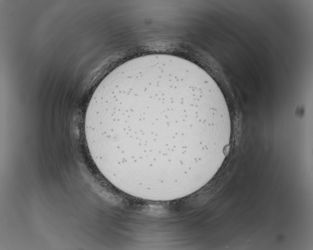 X0000115240114200912111103