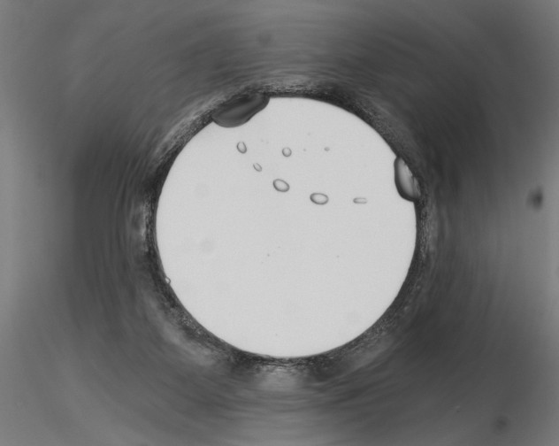 X0000115240115200912111103