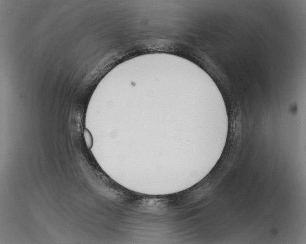 X0000115240117200912111103