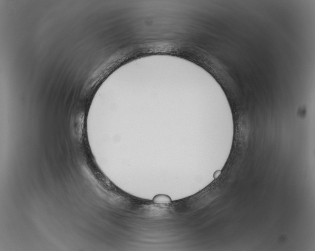 X0000115240118200912111103