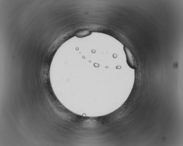 X0000115240119200912111103