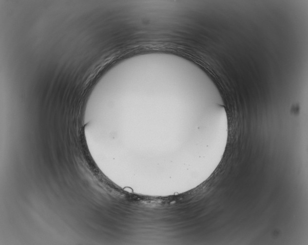 X0000115240120200912111103