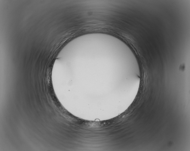 X0000115240121200912111103