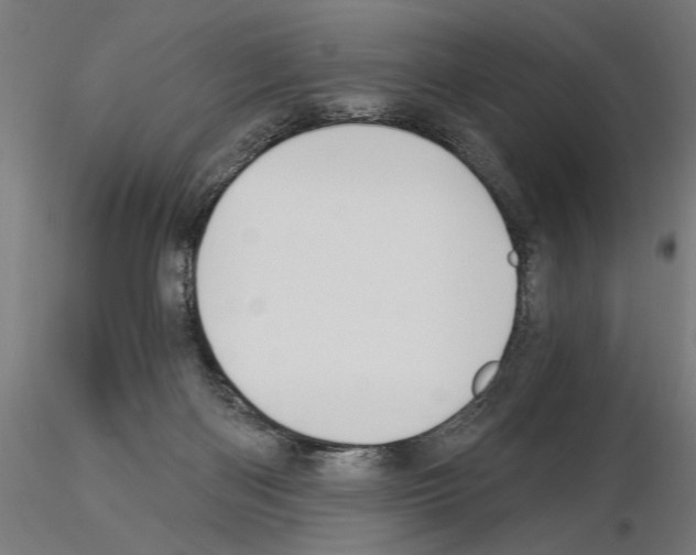 X0000115240122200912111103