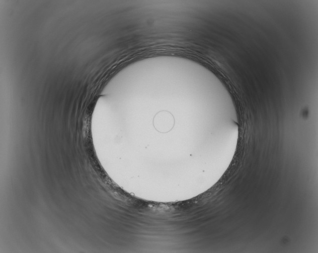 X0000115240125200912111103